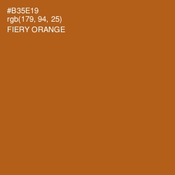 #B35E19 - Fiery Orange Color Image